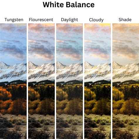 White Balance in Photography: The Essential Guide - balustradellc