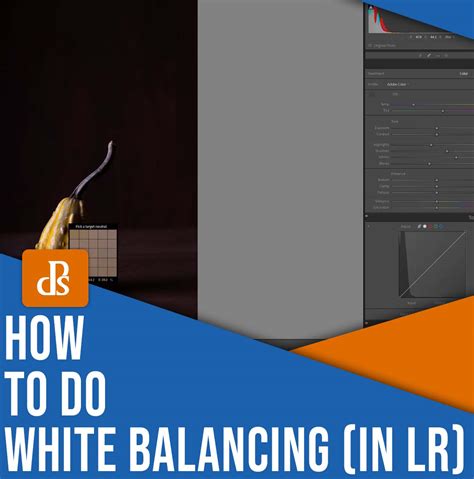 White Balancing in Lightroom: Your Step-By-Step Guide - balustradellc