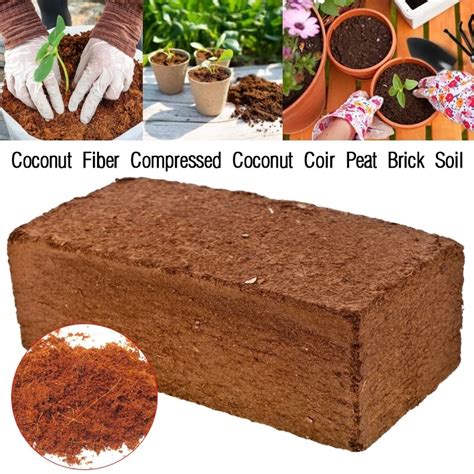 Wholesale Coconut Peat Block Natural Coir Pith High Quality ... - raincitystudios.com