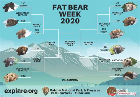WHRO Fat Bear Week Is Here. Take A Look At What To Expect And How You