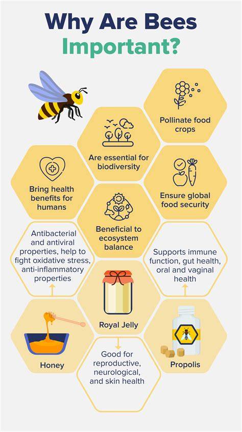 Why bees are essential to people and planet - UNEP - raincitystudios.com