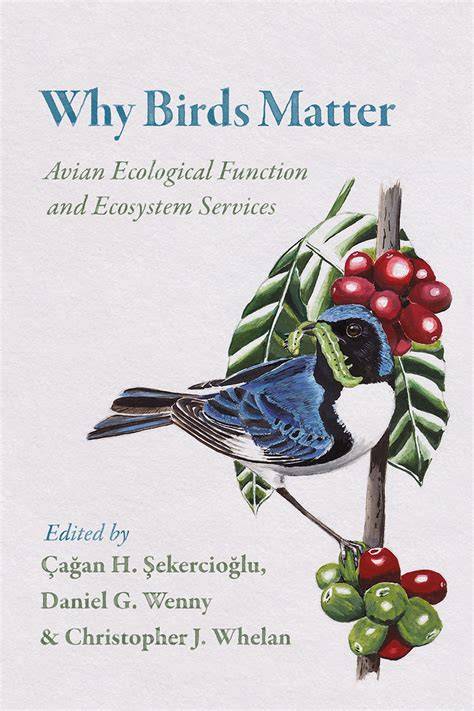 Why Birds Matter. Avian Ecological Functions and - raincitystudios.com