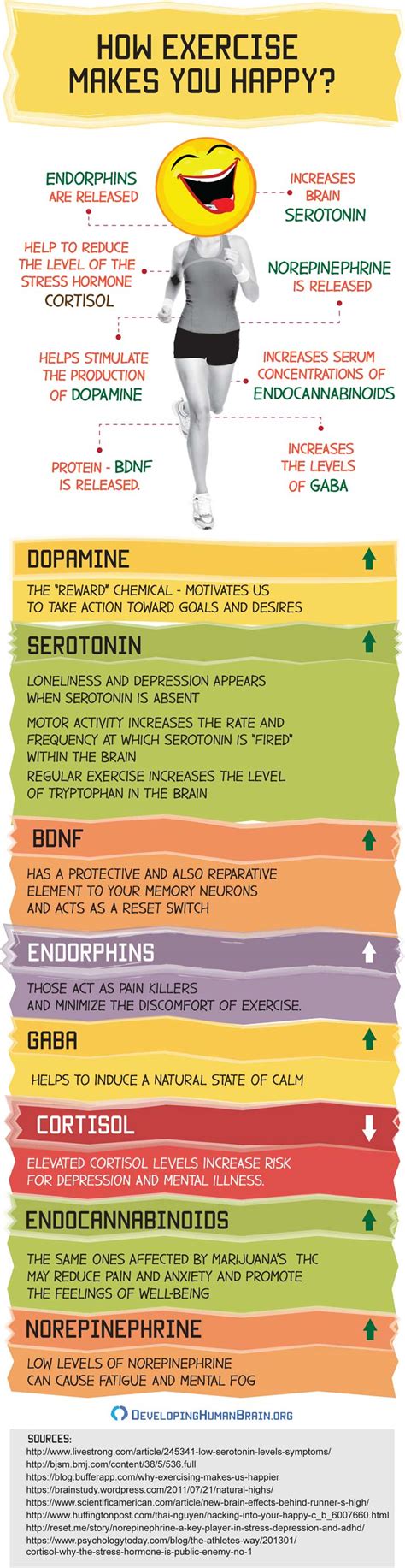 Why endorphins (and exercise) make you happy - CNN - balustradellc