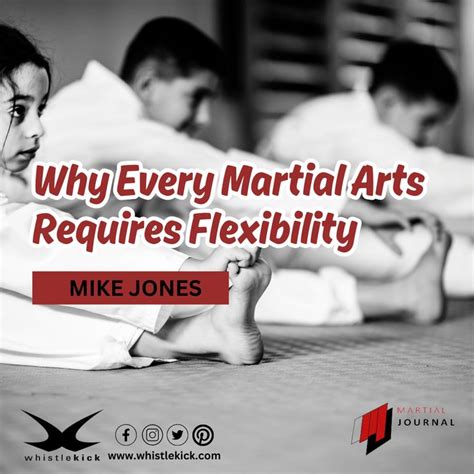 Why Every Martial Arts Requires Flexibility - balustradellc