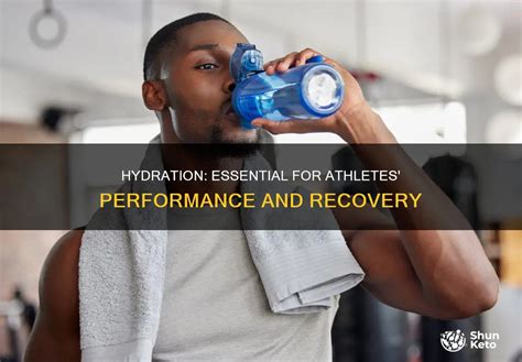 Why Hydration is Essential for Athletes Training at High Altitudes - balustradellc