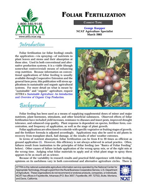 Why I Typically Do Not Recommend Foliar Fertilization - raincitystudios.com