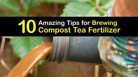 Why I Use Compost Tea Instead of Commercial Fertilizers ... - raincitystudios.com