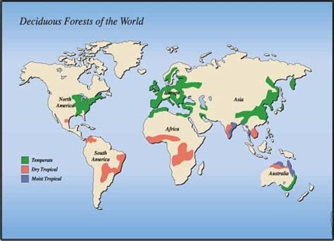 Why is the Tropical Deciduous Forest commercially the most exploited ... - muktibox.com
