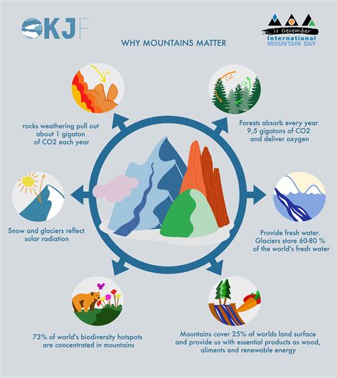 Why mountains matter for biodiversity - Wiley Online Library - raincitystudios.com