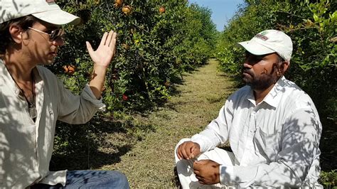 WHY ORGANIC? Interview with Two Brothers Organic Farms