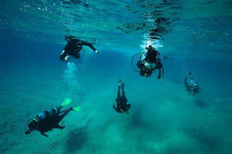 Why Our Communication Matters in Marine Conservation - AFO - raincitystudios.com