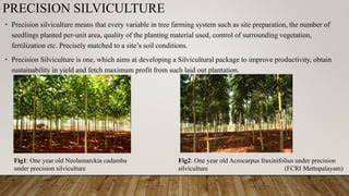 Why profit is necessary for silviculture contractors and the economy - raincitystudios.com