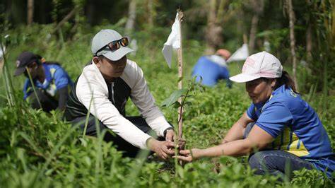 Why Reforestation Is Key to Disaster Preparedness - raincitystudios.com