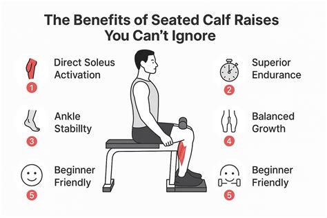 Why Seated Calf Raises Are Essential for Full Calf … - balustradellc