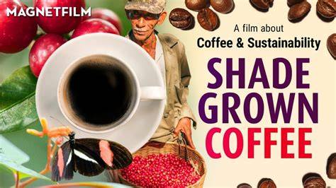 Why Shade Grown Coffee is key to sustainability. - raincitystudios.com