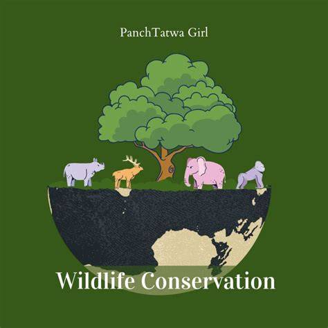Why Small Animals Are Huge for Conservation - raincitystudios.com