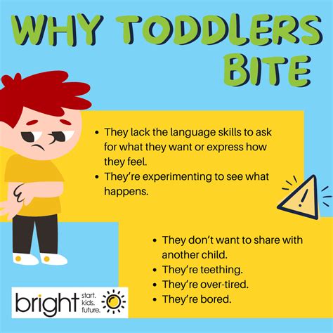 Why Toddlers Bite and What To Do - First Five Years - balustradellc