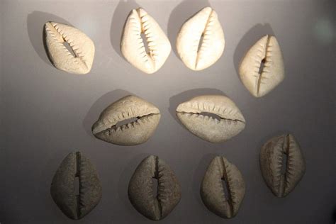 Why Were Cowrie Shells Used As Currency - wintechmobiles.com