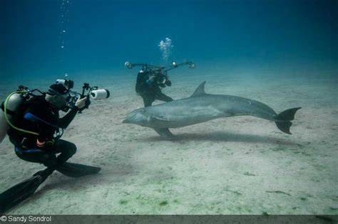 Why You Should Attend an Underwater Photo Workshop - raincitystudios.com