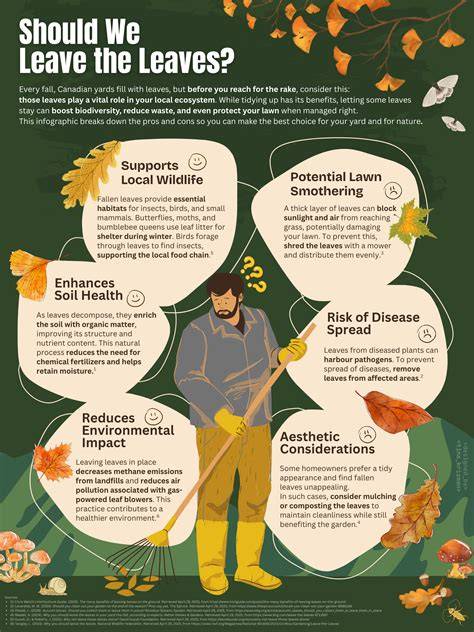 Why You Should Leave the Leaves - National Wildlife … - raincitystudios.com