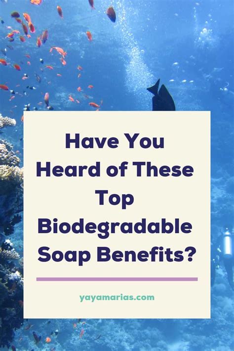 Why You Should Use Biodegradable Soap - Yaya Maria's - balustradellc