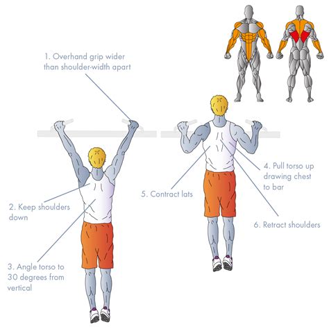 Wide-Grip Pullups: How to Do and Muscles Worked - balustradellc