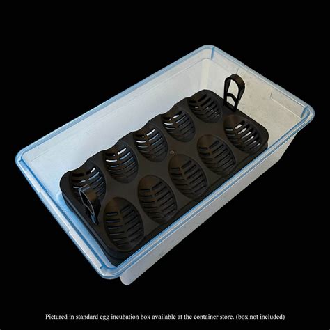 Wilbanks Egg Incubation Tray (10 egg capacity) - balustradellc