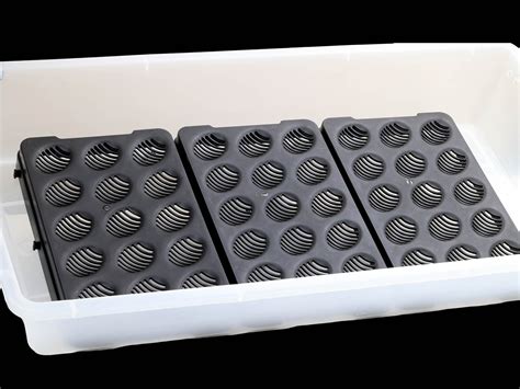 Wilbanks Egg Incubation Tray (15 egg capacity) - balustradellc