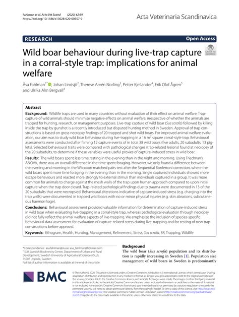 Wild boar behaviour during live-trap capture in a corral-style trap ... - balustradellc