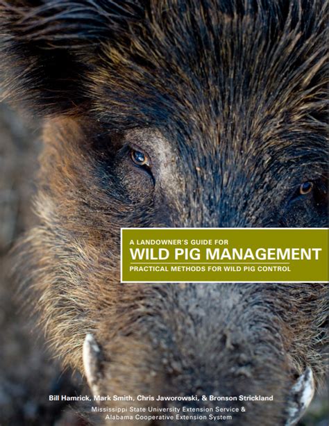 Wild Pig Damage Prevention and Control Methods - balustradellc