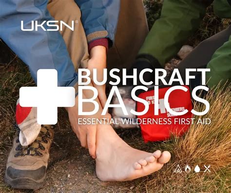 Wilderness first aid basics: essential skills & training - balustradellc