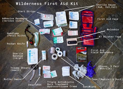 Wilderness First Aid Kit Checklist (PDF)|For Camping - balustradellc