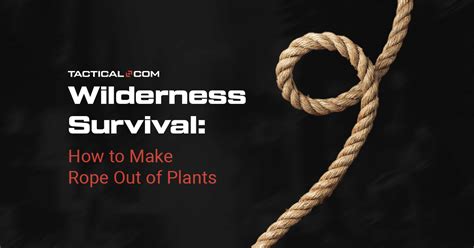 Wilderness Survival: How to Make Rope Out of Plants - balustradellc