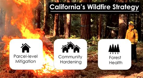 Wildfire management at a crossroads: Mitigation and … - raincitystudios.com