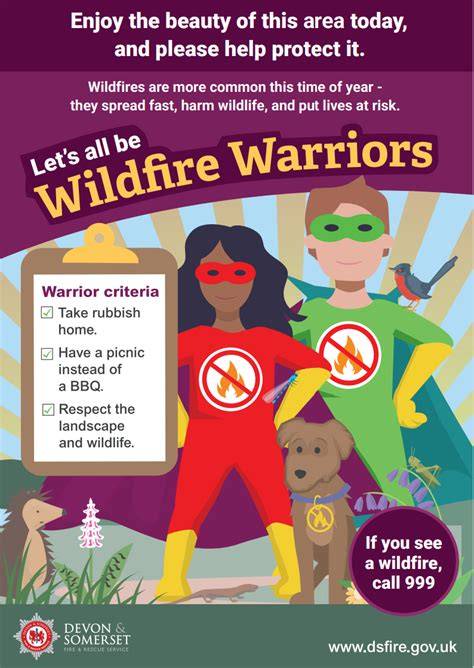 Wildfire Prevention - European Forest Institute - raincitystudios.com