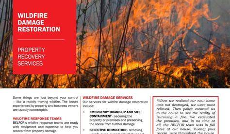 Wildfire Restoration 101: How to Drive Recovery and … - raincitystudios.com