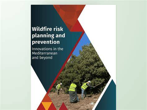 Wildfire risk planning and prevention - European Forest Institute - raincitystudios.com