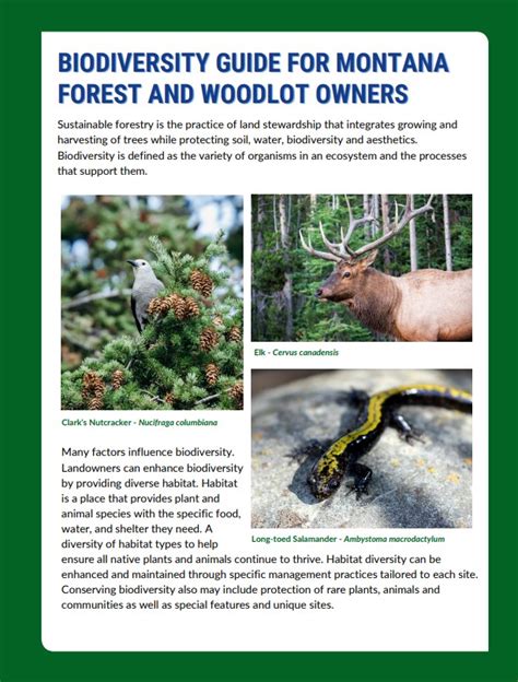 Wildlife Habitat Resources - wintechmobiles.com