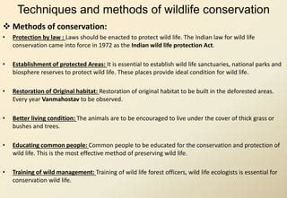 Wildlife Management and Plant Conservation: Essential Strategies - muktibox.com