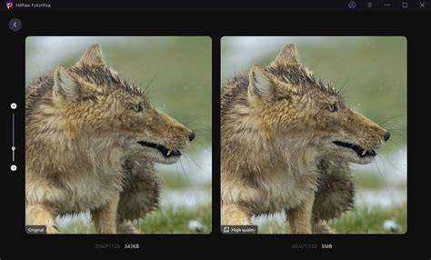 Wildlife Photo Editing: Build Your Plan First | Fstoppers - balustradellc