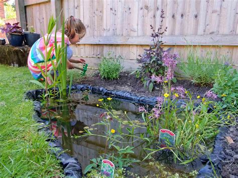 Wildlife Ponds: How to Make Them | RHS Advice - raincitystudios.com