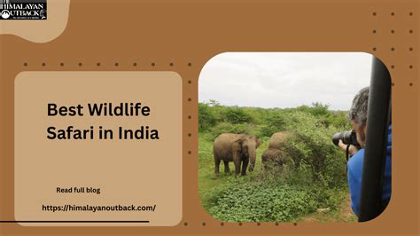 Wildlife Safari - San Diego Zoo Safari Park - muktibox.com