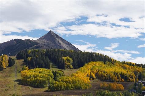 Wills in Colorado - COBAR - balustradellc
