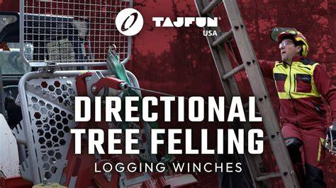 Winches in directional felling - HSE - raincitystudios.com