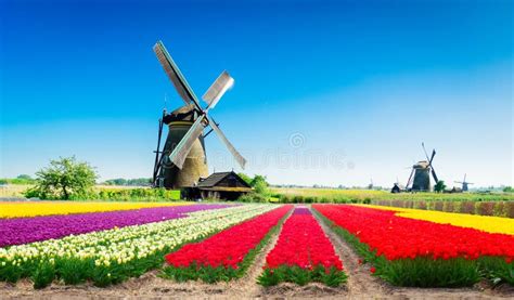 Wind Mills | Springer Nature Link - wintechmobiles.com