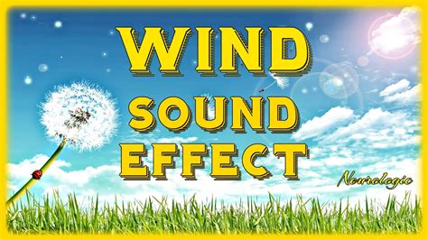 WIND Sound effect. - YouTube