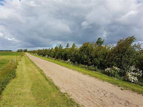WINDBREAK/SHELTERBELT ESTABLISHMENT - raincitystudios.com