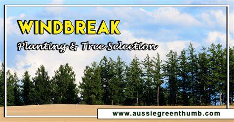 Windbreak: Planting and Tree Selection - Aussie Green … - raincitystudios.com
