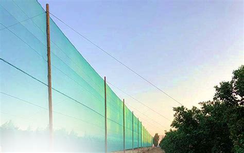 Windbreaks | Orari Nursery Online - raincitystudios.com