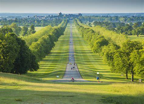 Windsor Great Park - raincitystudios.com